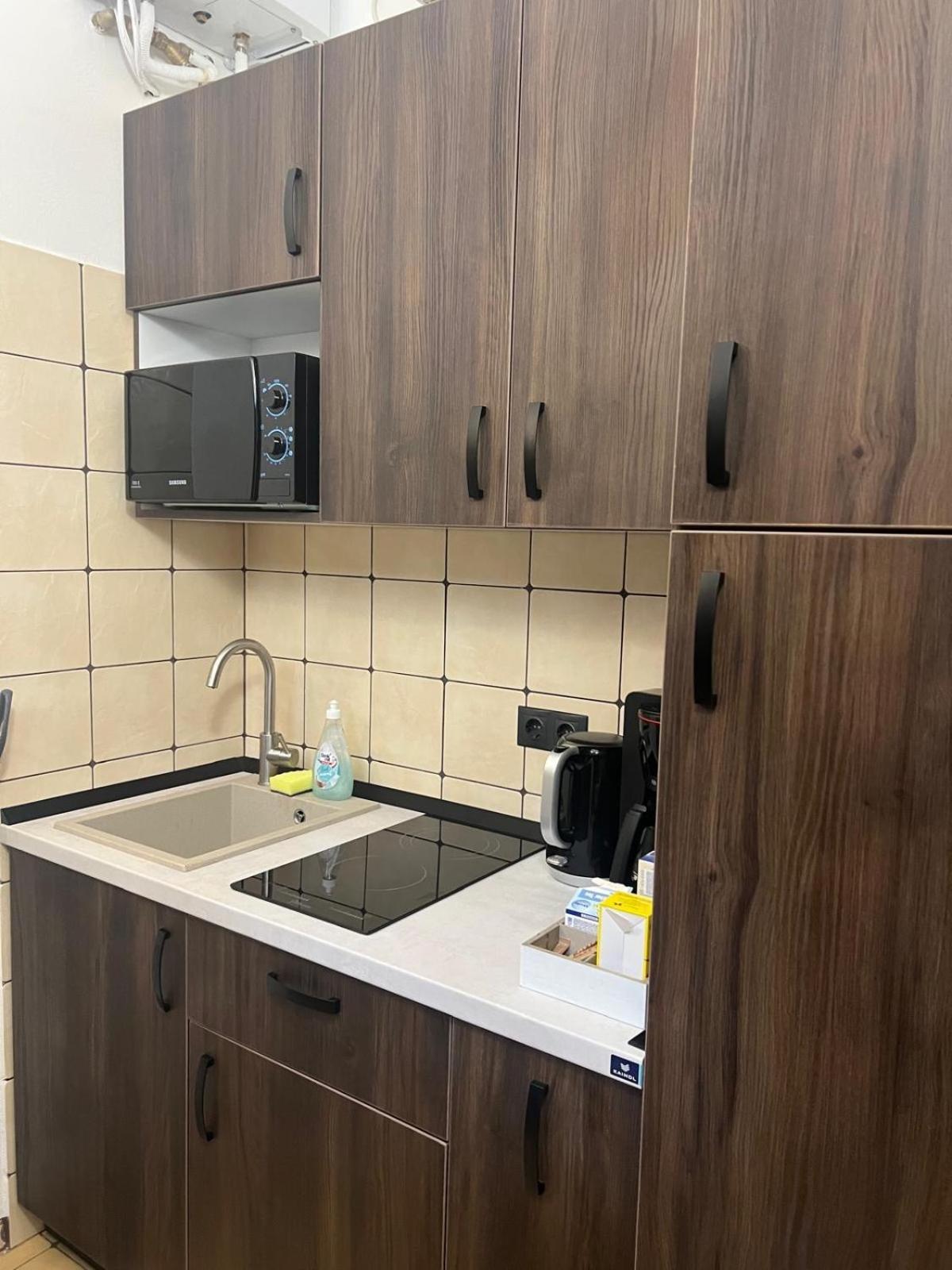 Daria Studio Central Сибиу Екстериор снимка